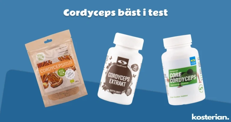 Cordyceps bäst i test: Minska utmattning med dessa 3 cordyceps!